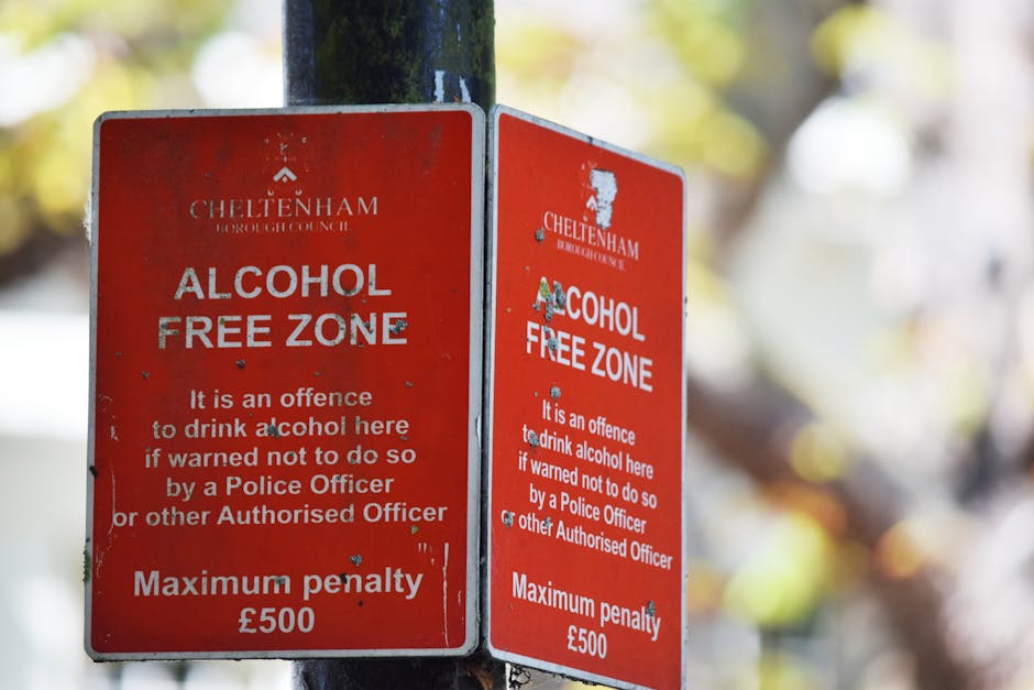 Camden council rules on rubbish in Fitzrovia explained